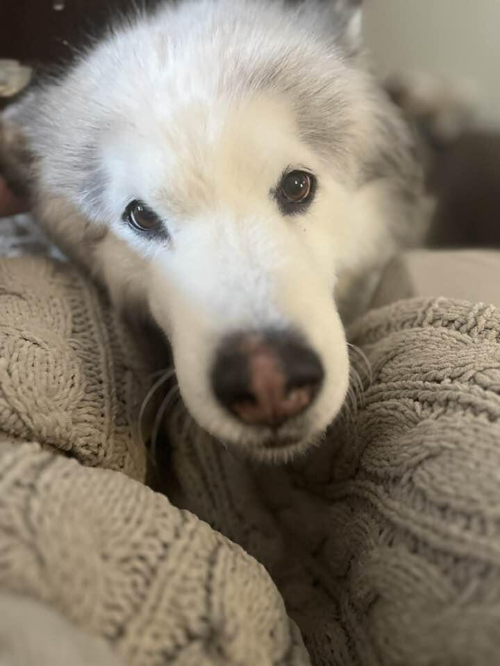 Annie
